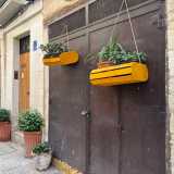 Mentre sono �figlie� delle sue chlorophytum le talee fiorite nelle vaschette gialle appese in via Fragigena